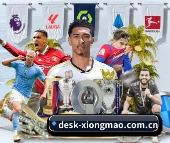 desk-xiongmao.com.cn APP